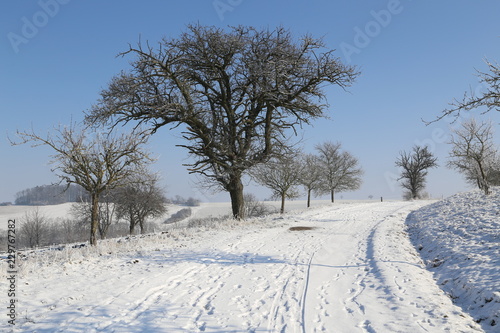 Winter landscape. Winter road among the trees.