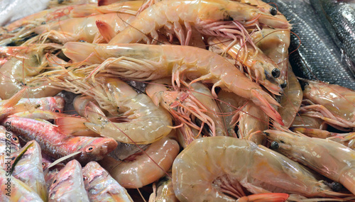 fresh big shrimp at the fish market macro