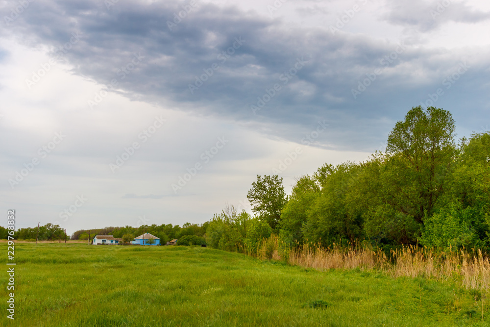 The landscape with the meadow, the forest, and old rural homestead at the distance