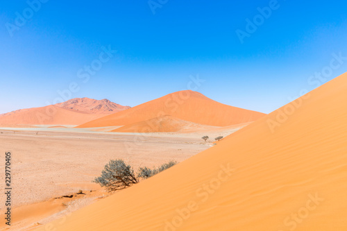 Sossusvlei, view standing on dune 45, Namibia.