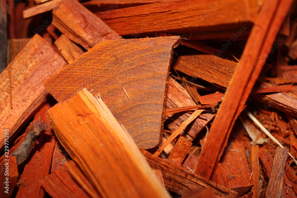 Organic Pathimukham or Sappan wood (Caesalpinia sappan) chips. Dried wood has medicinal properties. Organic Pathimukham or Sappan wood (Caesalpinia sappan) chips. Dried wood has medicinal properties.