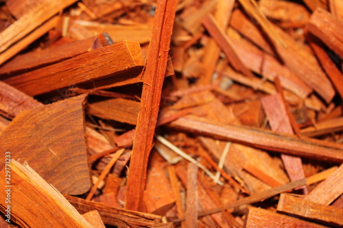 Organic Pathimukham or Sappan wood (Caesalpinia sappan) chips.  Dried wood has medicinal properties. photo