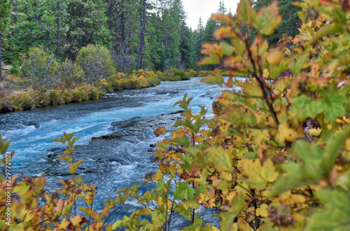 The Metolius River showing off fall colors in Central Oregon