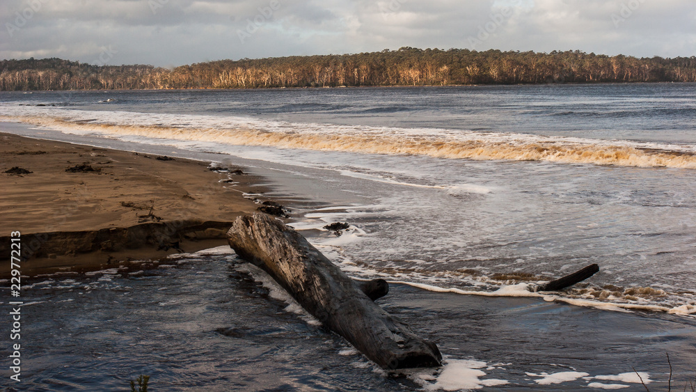 Mer australe, Sud de la Tasmanie Mer australe, Sud de la Tasmanie