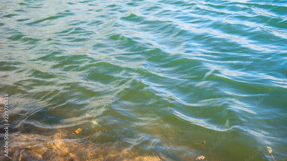 water shore ripples