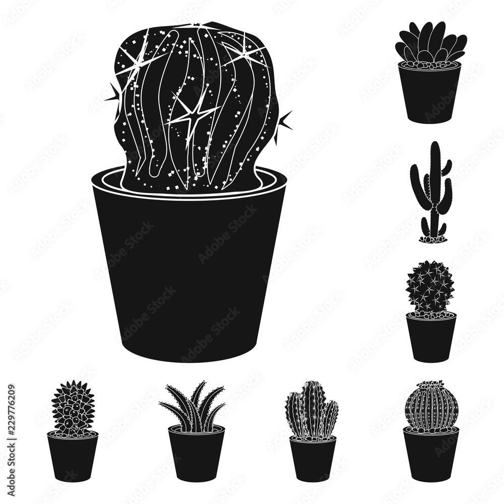 Fototapeta Vector design of cactus and pot symbol. Set of cactus and cacti stock vector illustration.
