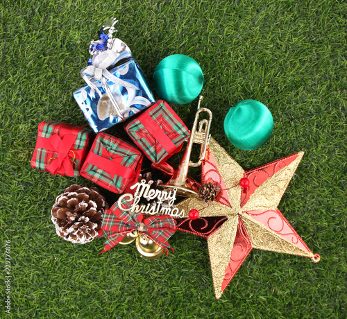 Christmas decorations on a backdrop of green lawn.