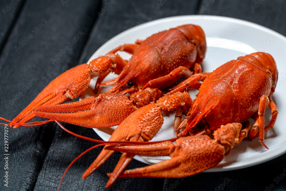large appetizing cooked crayfish on a white plate large appetizing cooked crayfish on a white plate