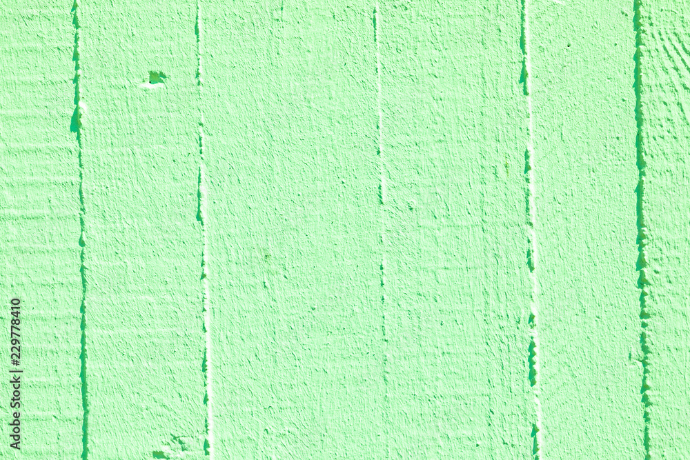 Fototapeta premium green wall background with structure of plaster