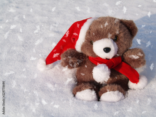 Teddy als Weihnachtsmann im Schnee