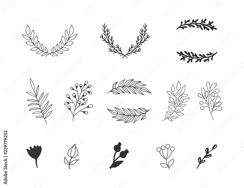 Set of tree branches, berries, leaves. Floral elements Set of tree branches, berries, leaves. Floral elements
