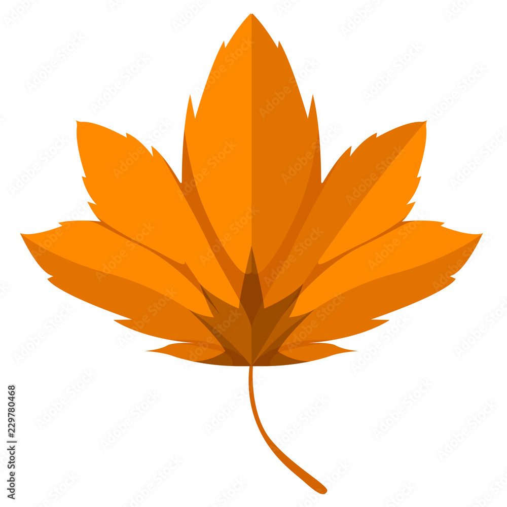 Isolated autumn leaf image. Vector illustration design