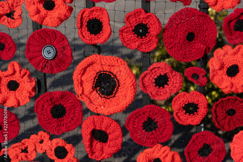 Konstfotografi An Impressive Display of Knitted and Crocheted Poppies on a Metal Fence to Commemorate Armistice Day and WWI
