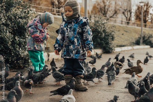 children feed the birds on the shore of the pond