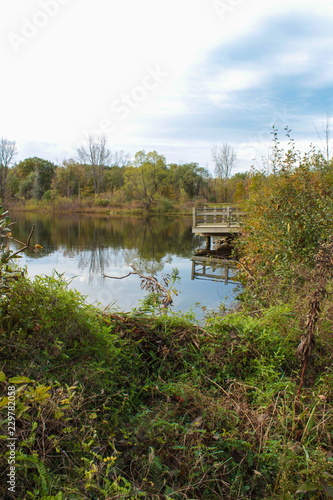 Fototapeta Naklejka Na Ścianę i Meble -  Rustic Wooden Fishing Pier Over Still Calm Pond With Green and Yellow Autumn Trees and Grasses With Blue Sky
