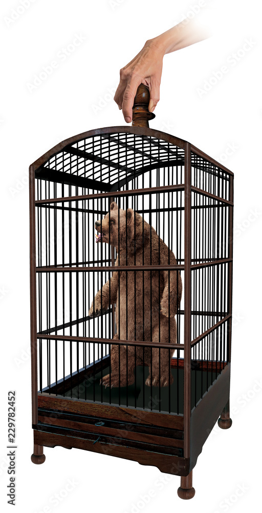 ours en cage, surréaliste, imaginaire, prison, prisonnier, triste  incarcéré, capturé, détenu, animal, cellule, liberté, Stock Illustration |  Adobe Stock