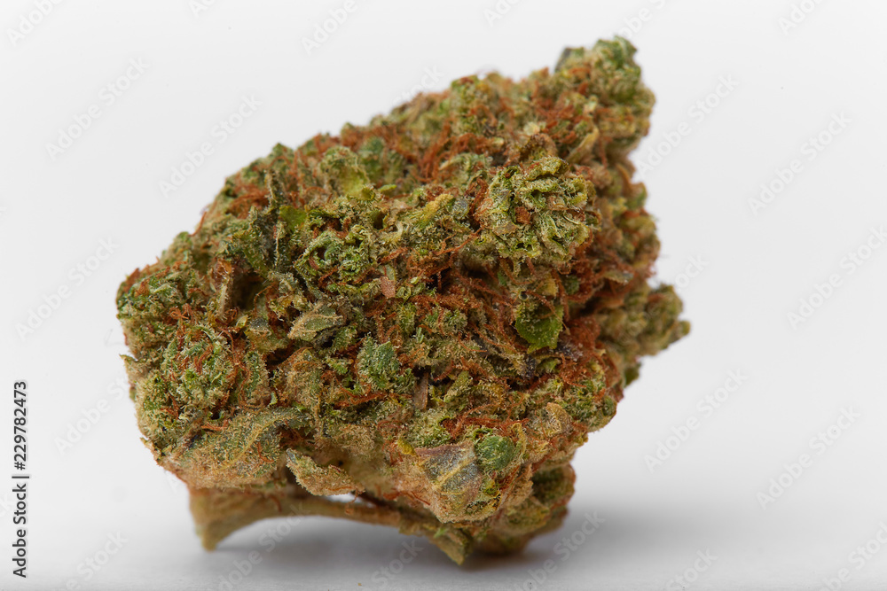 Close up of yumbolt strain hybrid indica dominant medical marijuana and recreational marijuana flower bud isolated in white background Close up of yumbolt strain hybrid indica dominant medical marijuana and recreational marijuana flower bud isolated in white background