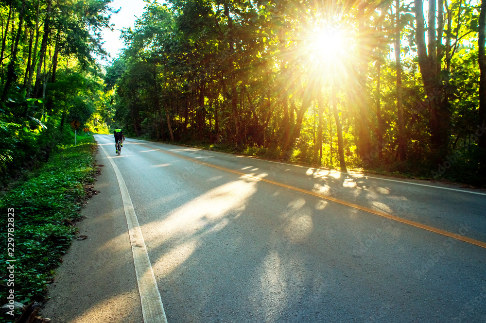 Obraz premium Long mountain road Nature and trees along the way. And natural sunlight