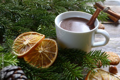 Hot chocolate or cocoa with cinnamon stick in a cup and fir branches. Winter hot drink for cold weather. New year and Christmas concept