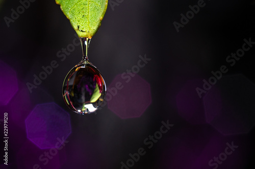Water drop