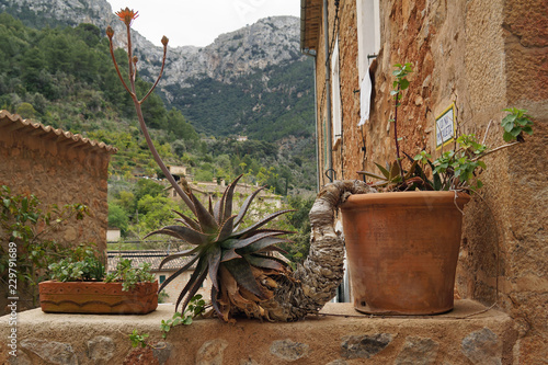 Spanien, Balearen,  Mittelmeer, Mallorca, Deia, Balearen