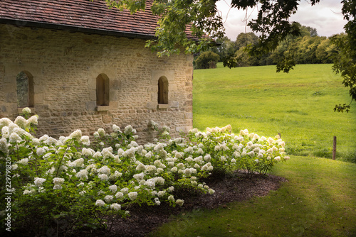 Side view of an old chapel in a country garden surrounded by Hydrangea flowers