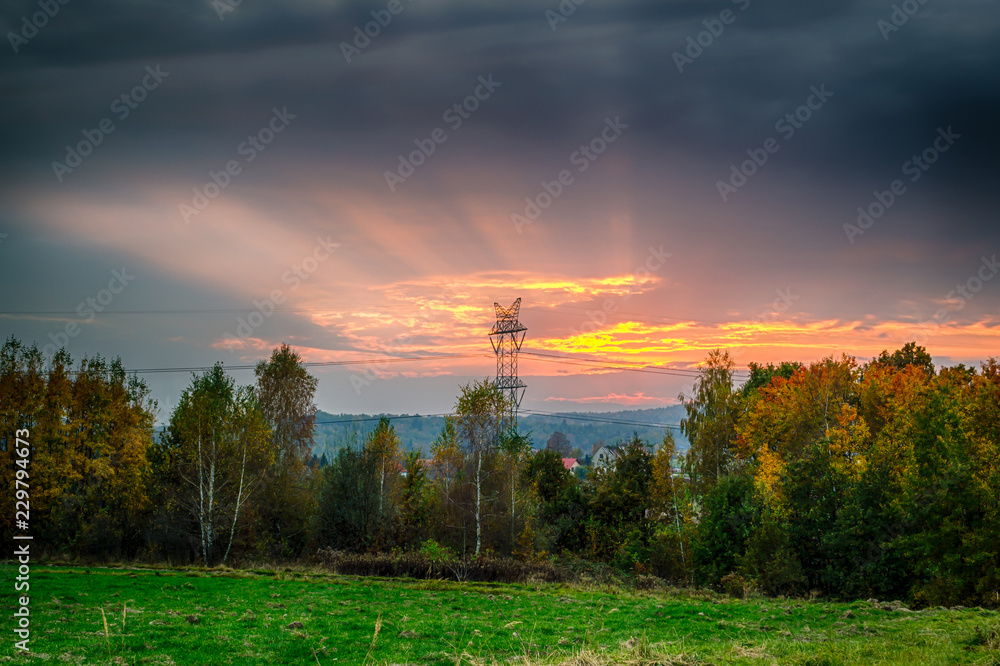 Obraz premium Zachód słońca rozświetlający łąkę