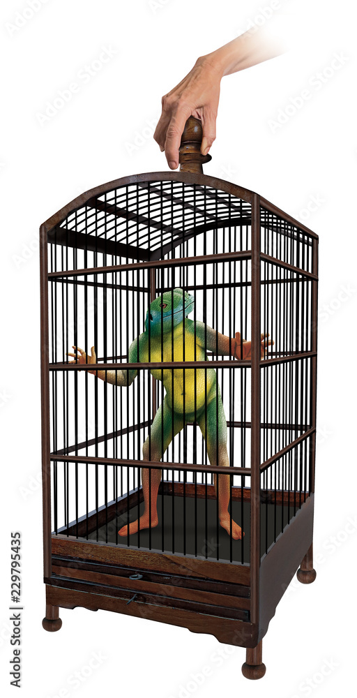 créature, lézard en cage, surréaliste, imaginaire, prison, prisonnier,  triste incarcéré, détenu, animal, cellule, liberté, Stock Illustration |  Adobe Stock