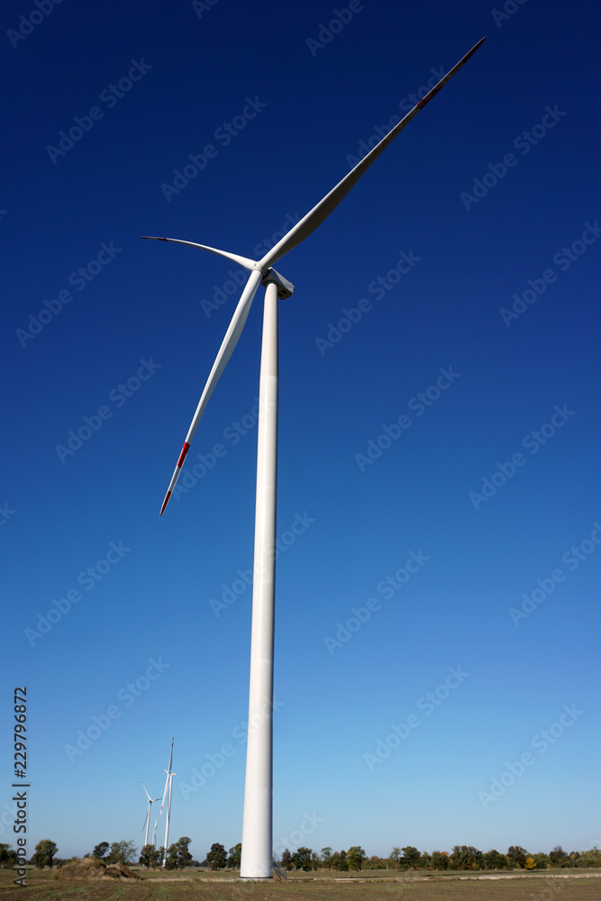 Eco power, wind turbines with blue sky. wind turbine for alternative electricity.renewable electric farm with sustainable eco-friendly technology using wind energy rotation for wind turbines renewable Eco power, wind turbines with blue sky. wind turbine for alternative electricity.renewable electric farm with sustainable eco-friendly technology using wind energy rotation for wind turbines renewable