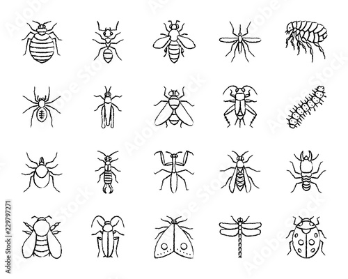 Danger Insect charcoal draw line icons vector set