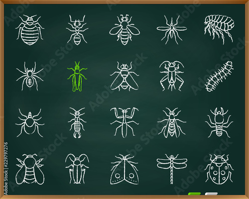 Danger Insect chalk draw line icons vector set