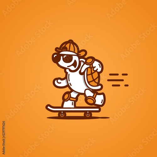 Turtle on a skateboard
