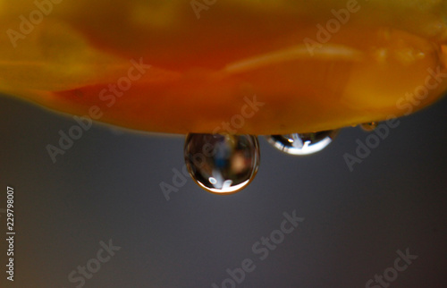 Fototapeta kuchenna gota 