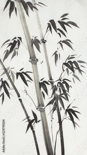 Fototapeta Naklejka Na Ścianę i Meble -  monochrome bamboo trees