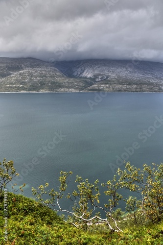 Nesna, Bratland, Fjord, Sjona, Norwegen, Nordland, Fv17, Fv 17, Küstenstraße, Kystriksveien, Pollatinden, Berg, Birke, Birgen, Stamm, Straße, Haus, Dorf, Insel photo