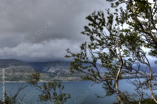 Nesna, Bratland, Fjord, Sjona, Norwegen, Nordland, Fv17, Fv 17, Küstenstraße, Kystriksveien, Pollatinden, Berg, Birke, Birgen, Stamm, Straße, Haus, Dorf, Insel photo