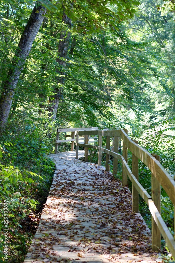 The autumn leaves covering the wood bridge in the woods The autumn leaves covering the wood bridge in the woods