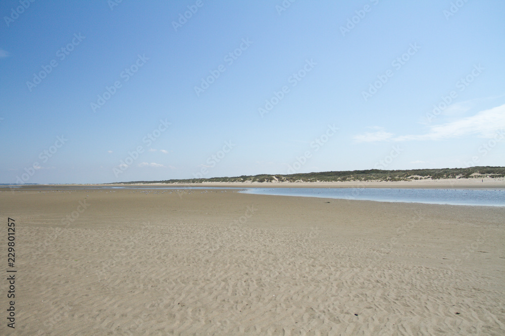 Ouddorp-Beach