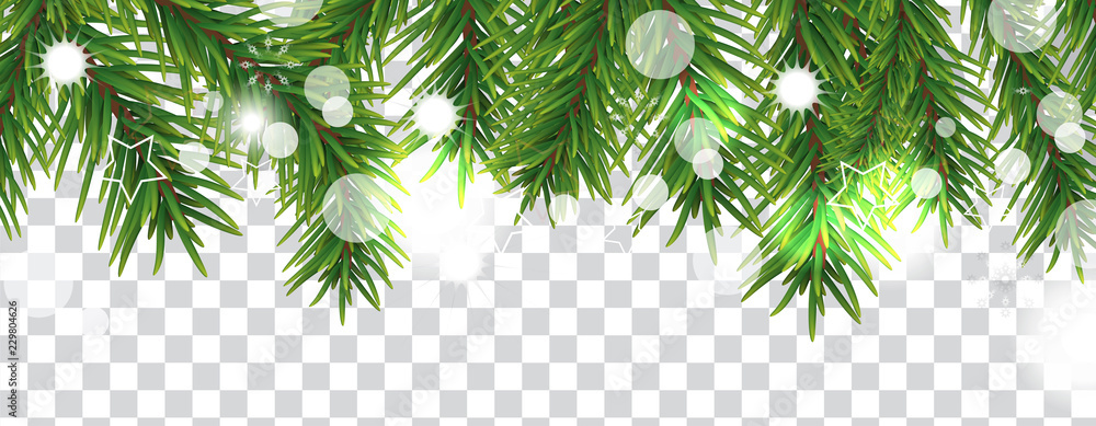 Christmas Tree Branches Background On Transparent Background Stock