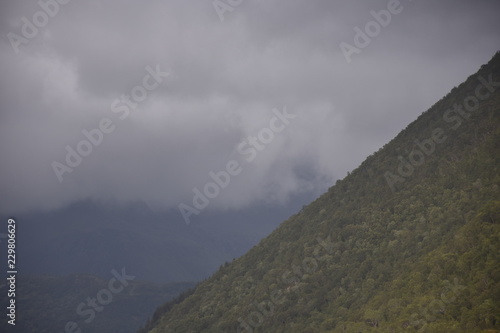 Nesna, Bratland, Fjord, Sjona, Norwegen, Nordland, Fv17, Fv 17, Küstenstraße, Kystriksveien, Pollatinden, Berg, Birke, Birgen, Stamm, Straße, Haus, Dorf photo