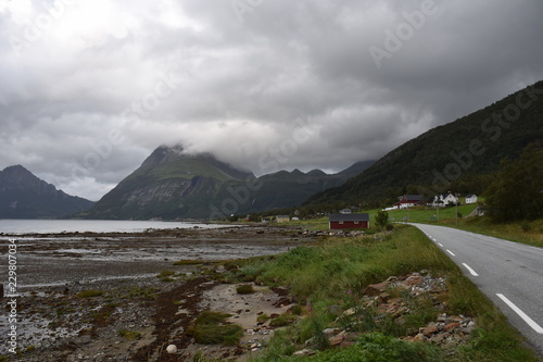 Nesna, Bratland, Fjord, Sjona, Norwegen, Nordland, Fv17, Fv 17, Küstenstraße, Kystriksveien, Pollatinden, Berg, Birke, Birgen, Stamm, Straße, Haus, Dorf photo