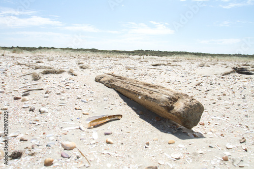 Ouddorp-Beach photo