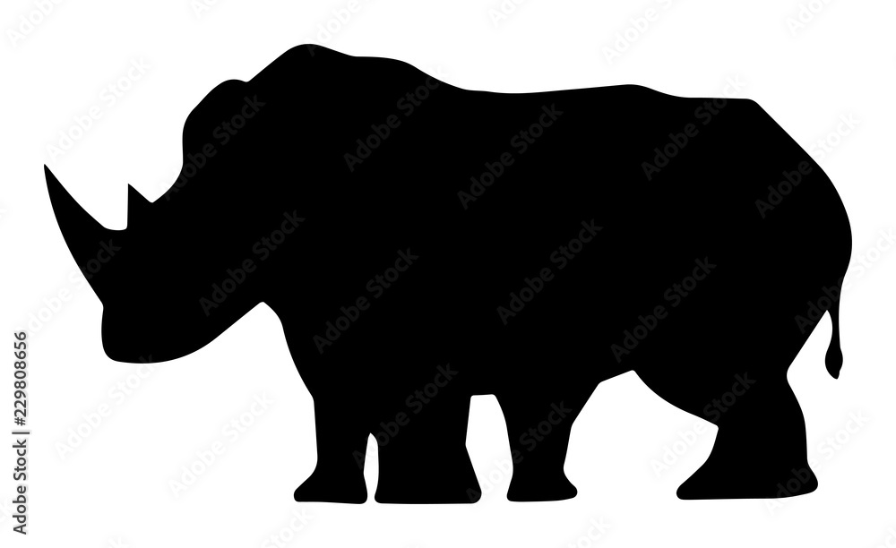 Side View Of A Rhinoceros Side View Of A Rhinoceros