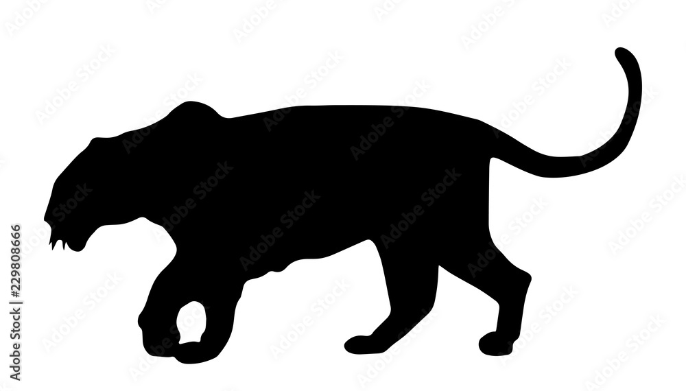 Black Silhouette Of A Leopard