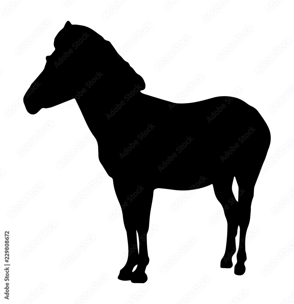 Obraz premium Silhouette Of A Horse