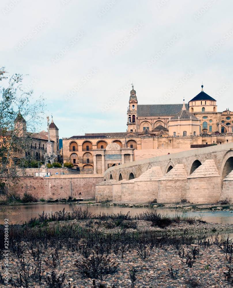 Cathedral next to the mosque of Cordoba