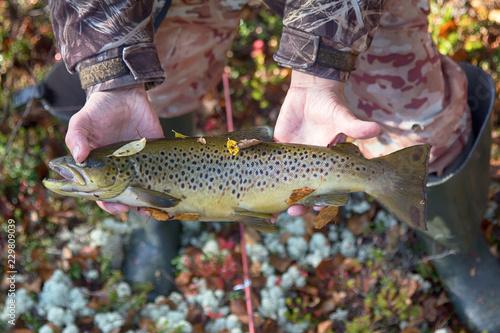 Luxury fishing trophy from autumn lake. photo