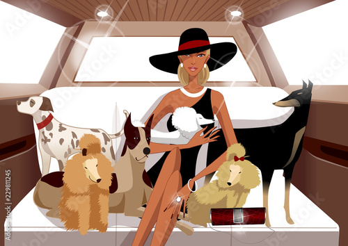 Woman sitting in a car with poodles