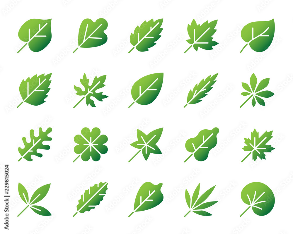 Organic Leaf simple gradient icons vector set Organic Leaf simple gradient icons vector set