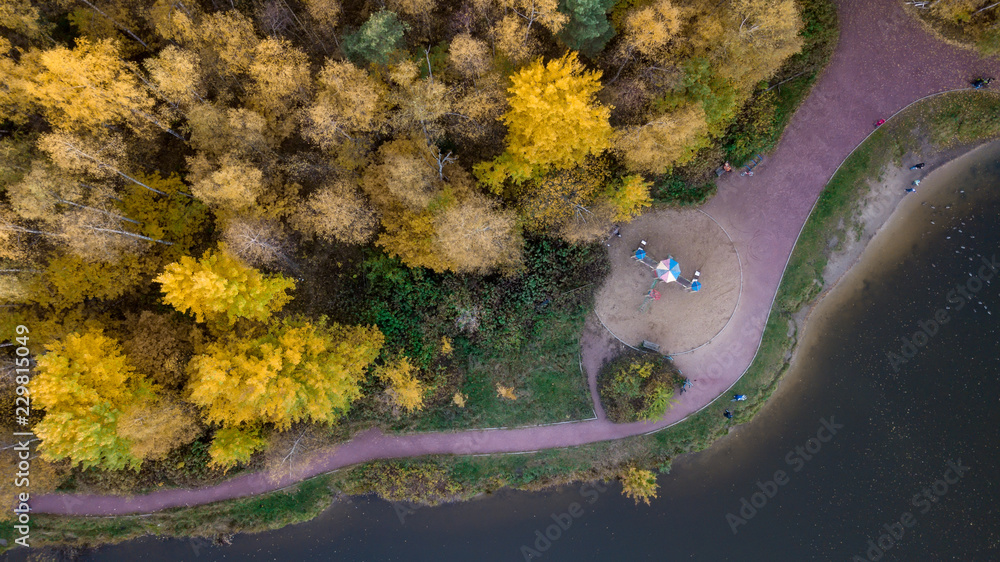 Obraz premium Aerial view. Directly above the deciduous forest in autumn. Top view of the grove with Oak and birch trees. Red, yellow and green lush foliage on the trees.